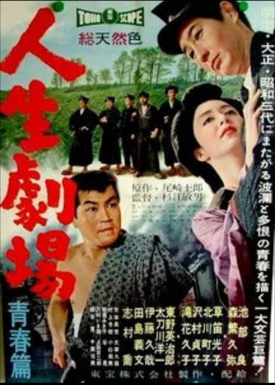 Póster de Theater of Life