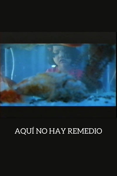 Póster de There Is No Remedy