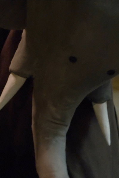 Póster de There's an Elephant Staring at Me