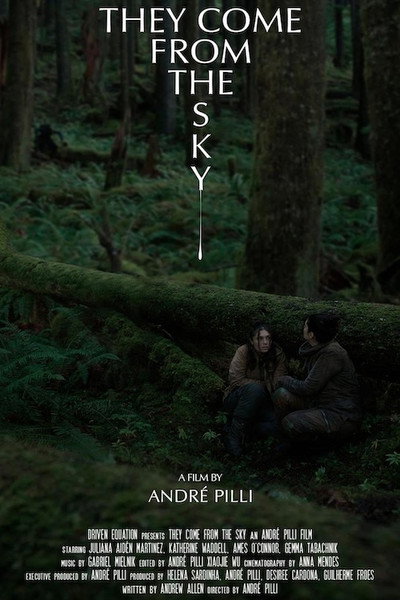 Póster de They Come from the Sky
