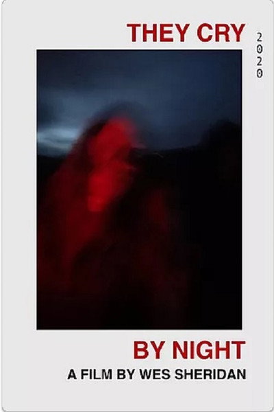 Póster de They Cry by Night