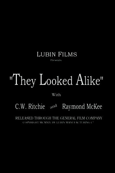 Póster de They Looked Alike