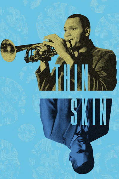 Póster de Thin Skin