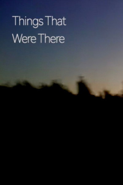 Póster de Things That Were There