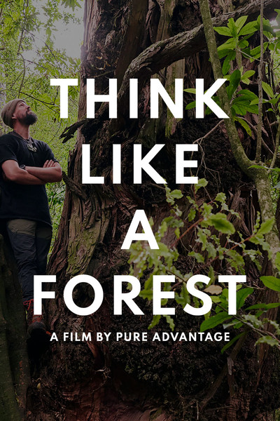 Póster de Think Like a Forest