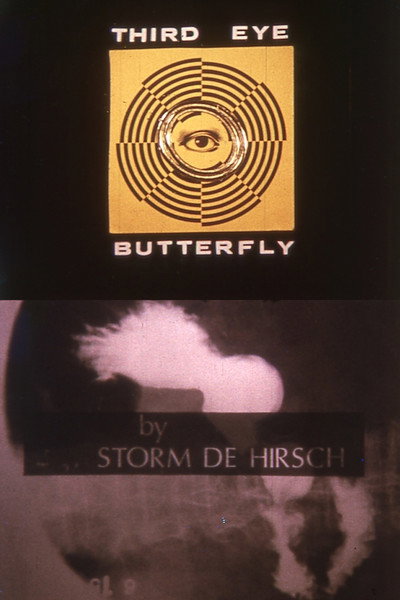 Póster de Third Eye Butterfly