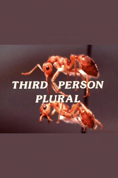 Póster de Third Person Plural