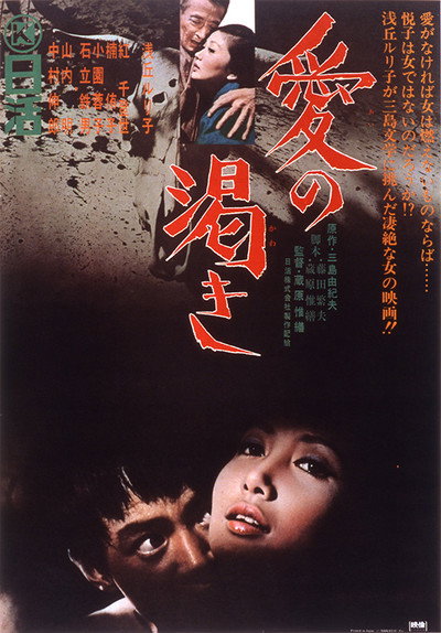 Póster de Thirst for Love