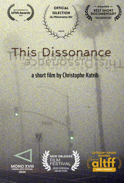 Póster de This Dissonance