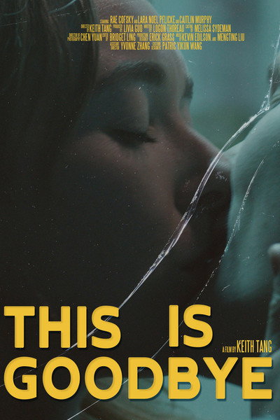 Póster de This is Goodbye