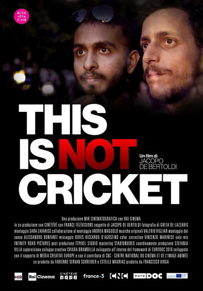 Póster de This Is Not Cricket