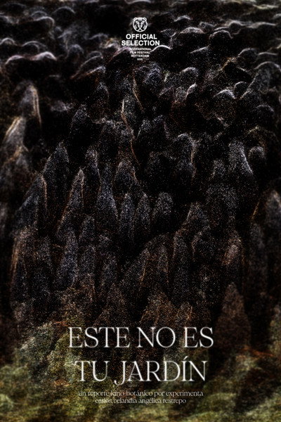 Póster de This Is Not Your Garden