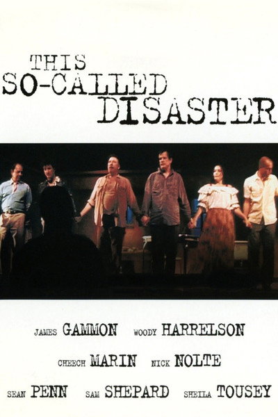 Póster de This So-Called Disaster