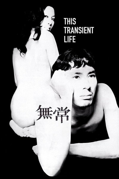 Póster de This Transient Life