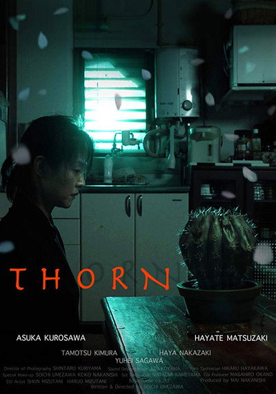 Póster de Thorn