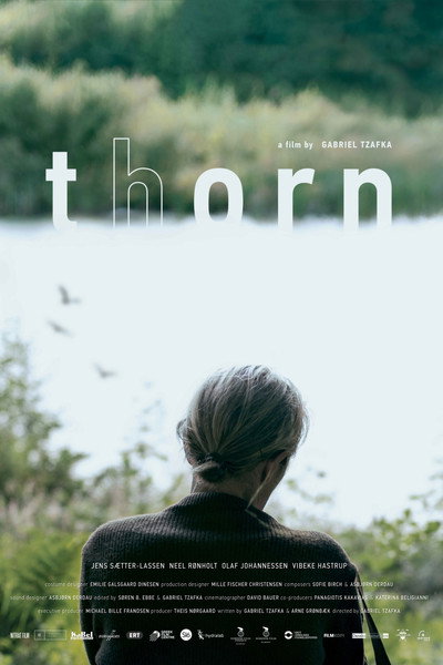 Póster de Thorn