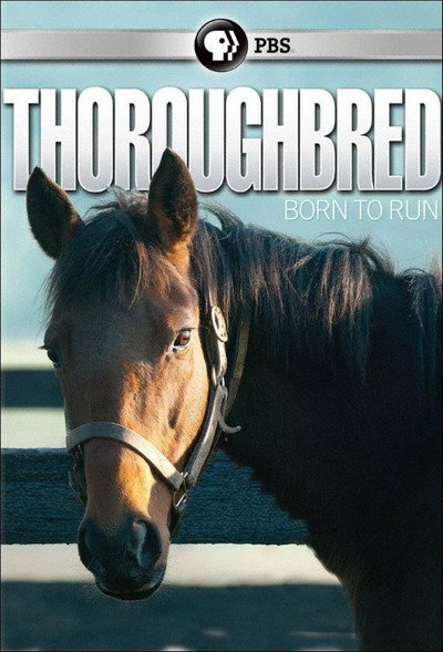Póster de Thoroughbred