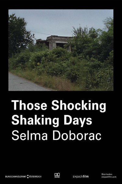 Póster de Those Shocking Shaking Days