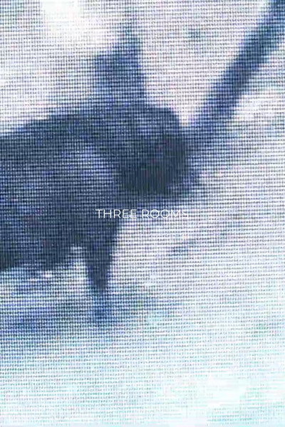 Póster de Three Rooms