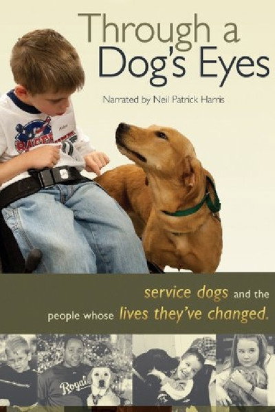 Póster de Through a Dog's Eyes