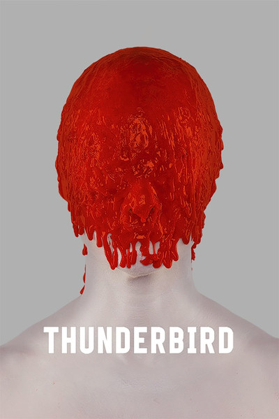 Póster de Thunderbird
