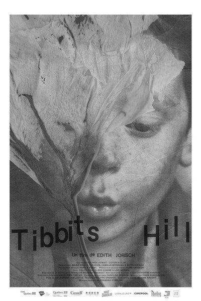 Póster de Tibbits Hill