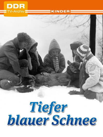 Póster de Tiefer blauer Schnee