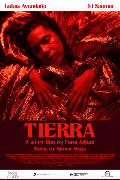Póster de Tierra