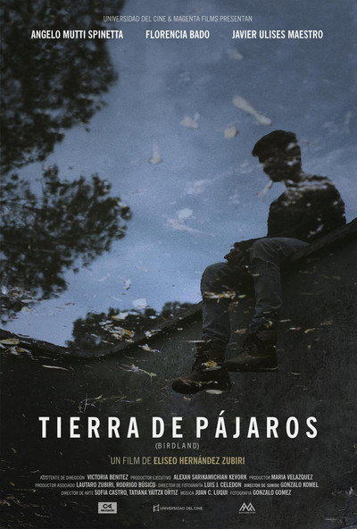 Póster de Tierra de Pájaros