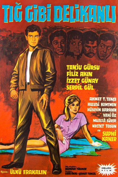 Póster de Tig gibi delikanli