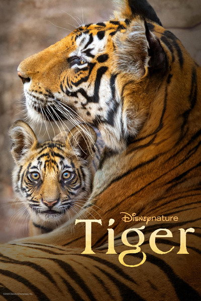 Póster de Tiger