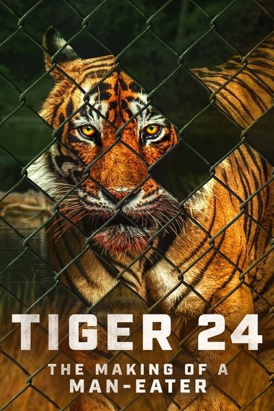 Póster de Tiger 24