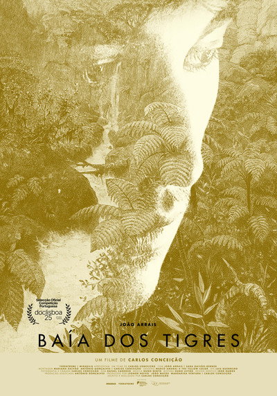 Póster de Tiger Bay