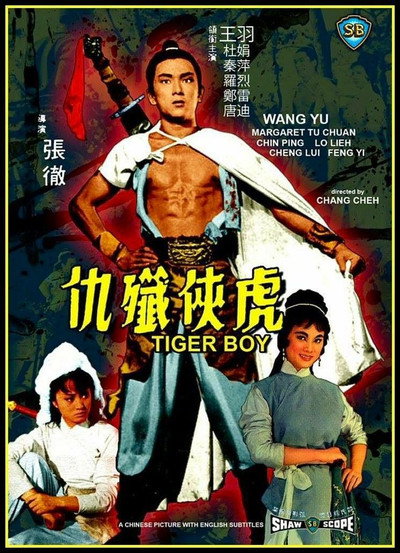 Póster de Tiger Boy