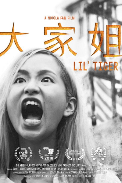 Póster de Tiger by the Tail