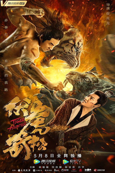 Póster de Tiger Killer