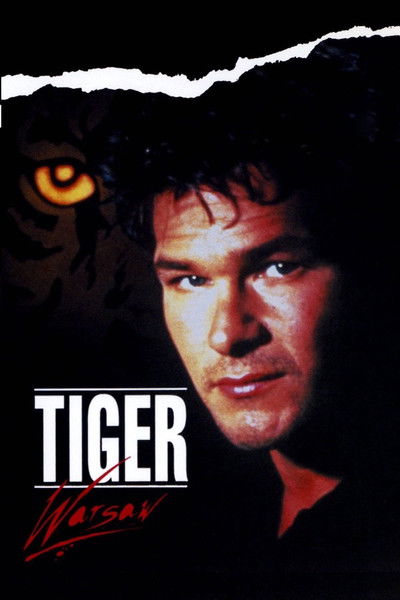 Póster de Tiger, la última oportunidad