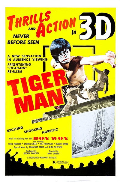 Póster de Tiger Man