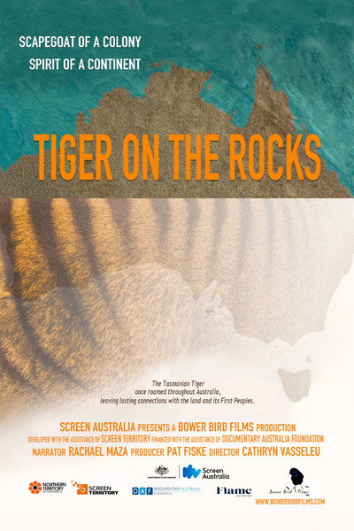 Póster de Tiger on the Rocks