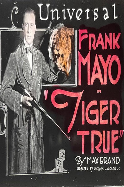 Póster de Tiger True