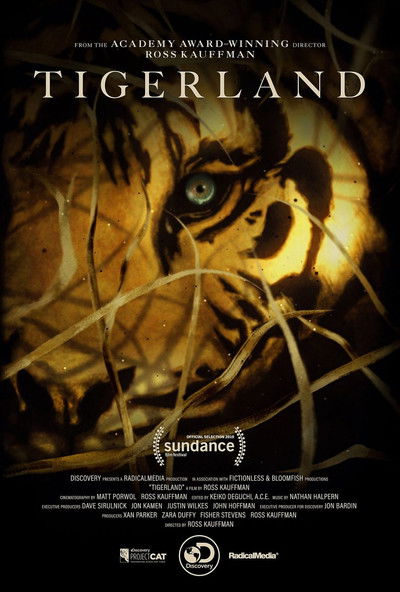Póster de Tigerland
