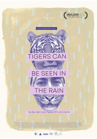 Póster de Tigers Can Be Seen in the Rain