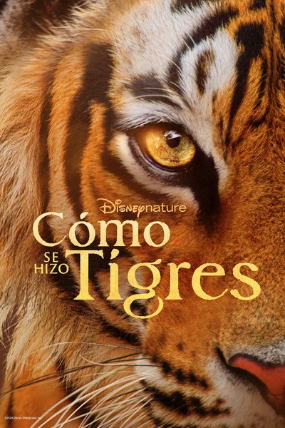 Póster de Tigers on the Rise