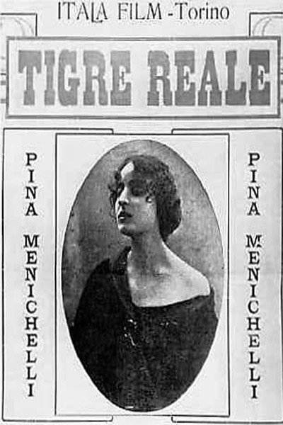 Póster de Tigre real