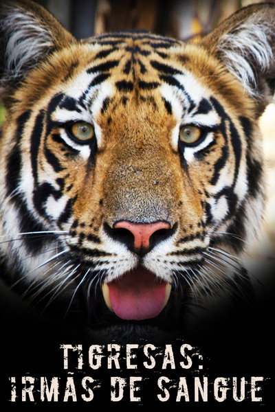 Póster de Tigress Blood