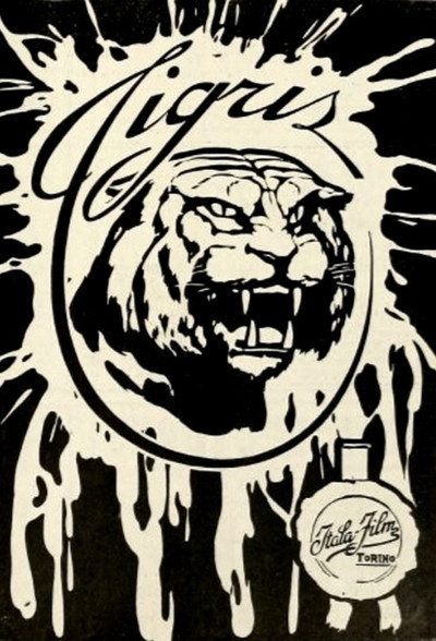 Póster de Tigris