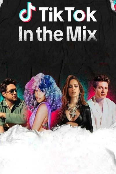Póster de TikTok in the Mix