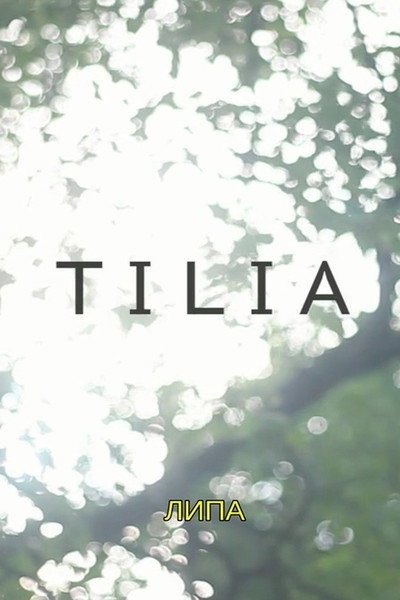 Póster de Tilia