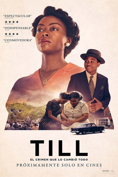 Póster de Till: Justicia para mi hijo