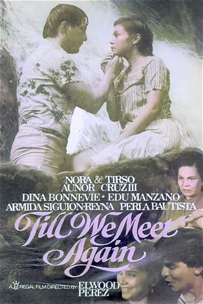 Póster de Till We Meet Again